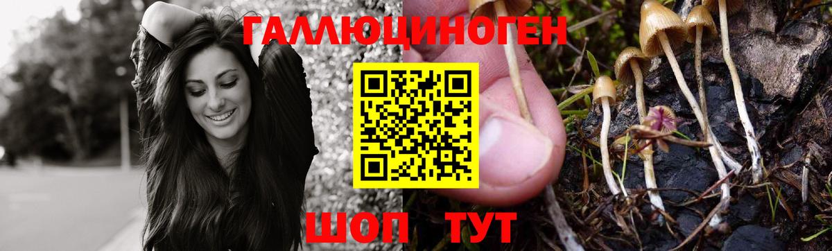 Губкин  цены   Псилоцибиновые грибы мицелий  Вход с VPN  Псилоцибиновые грибы Psilocybe 
