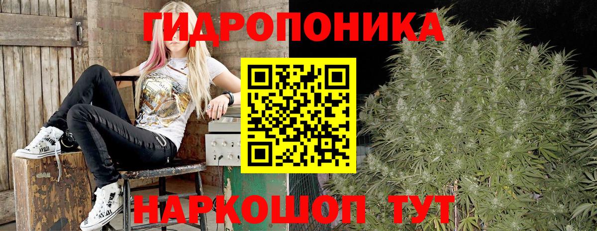 Шишки марихуана OG Kush  Вход с VPN  Каннабис VHQ  Губкин  Марихуана White Widow  Каннабис SATIVA & INDICA 